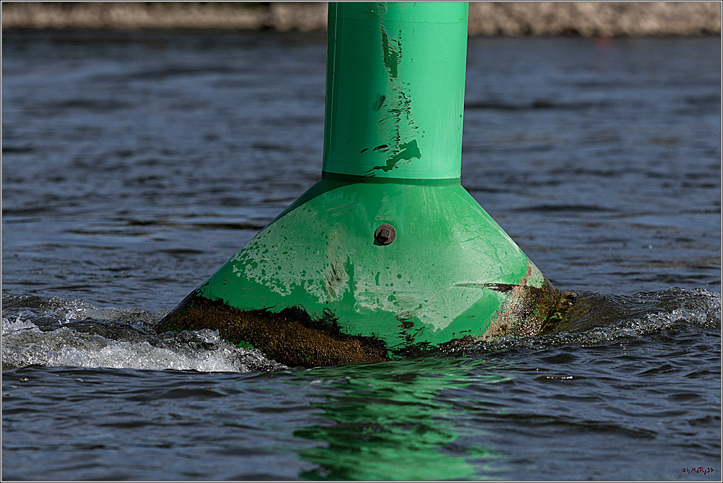 100 Jahre Rheinwoche 2022 - 1. Wettfahrt Porz - Hitdorf, 03.06.2022,